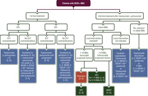Early breast cancer: ESMO Clinical Practice Guideline for .